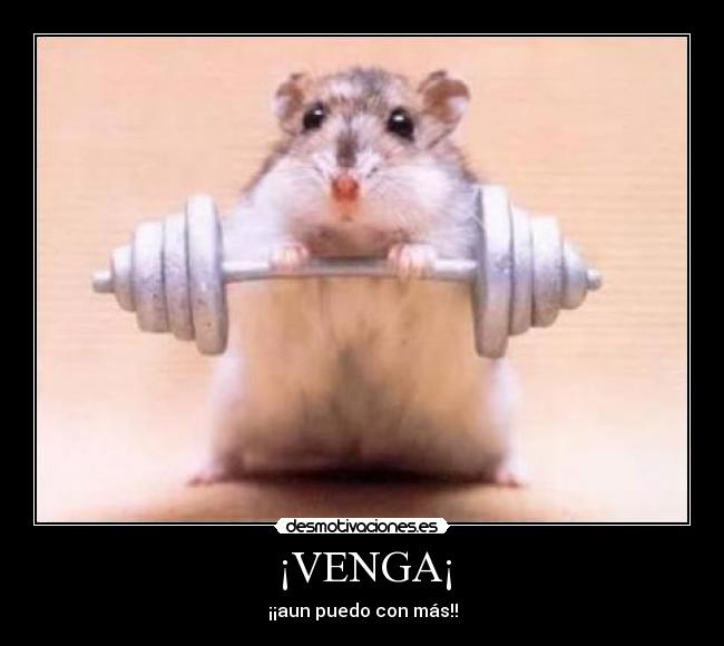 ¡VENGA¡ -