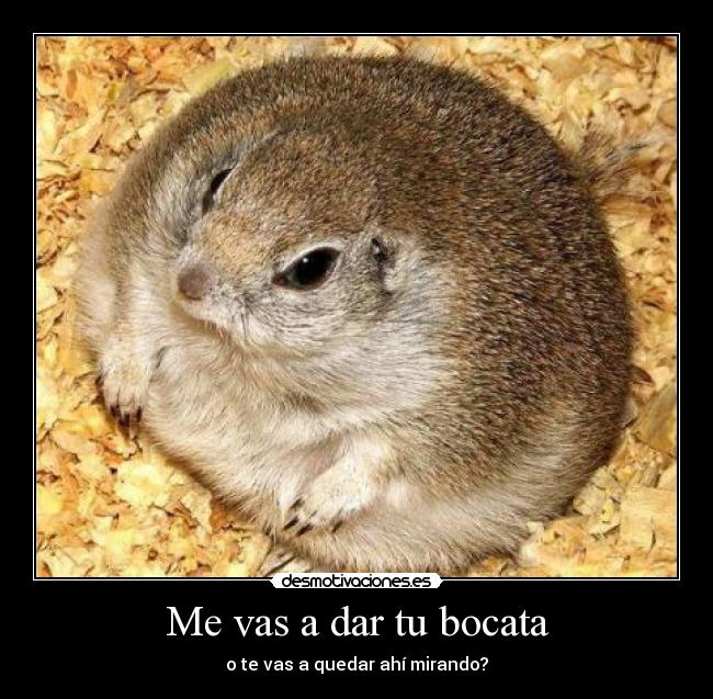 Me vas a dar tu bocata - o te vas a quedar ahí mirando?