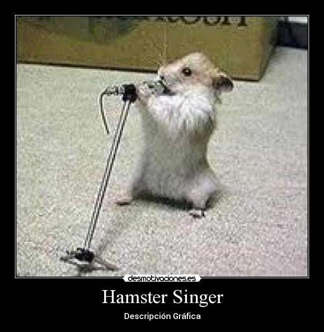 Hamster Singer - Descripción Gráfica