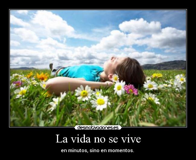 La vida no se vive -