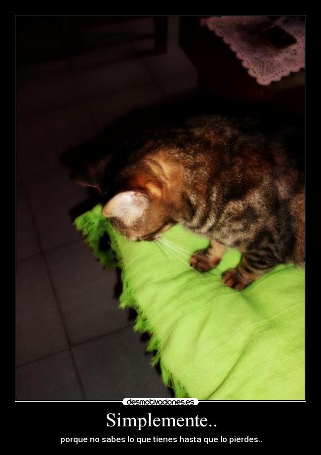 Simplemente.. - porque no sabes lo que tienes hasta que lo pierdes..