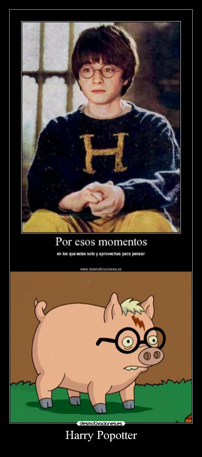 Harry Popotter -