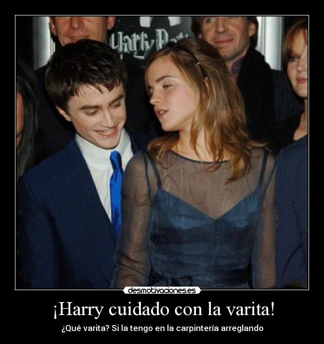 ¡Harry cuidado con la varita! - ¿Qué varita? Si la tengo en la carpintería arreglando