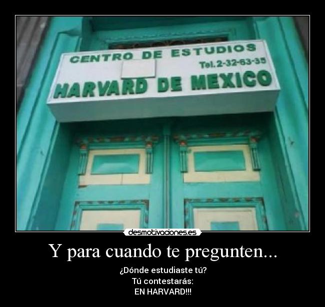 Y para cuando te pregunten... - 