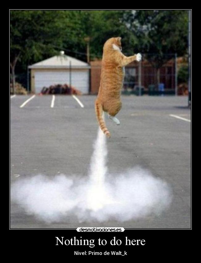 Nothing to do here - Nivel: Primo de Walt_k