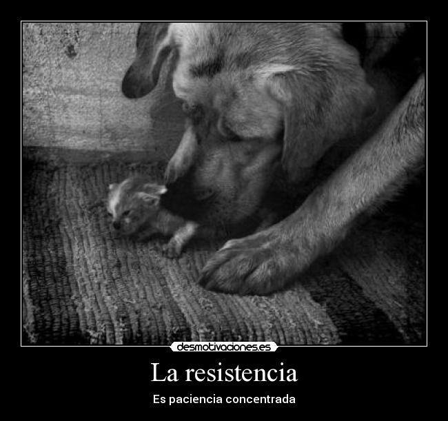 La resistencia - 