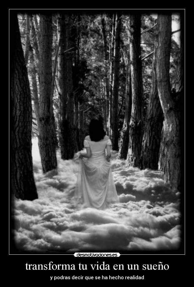 transforma tu vida en un sueño - y podras decir que se ha hecho realidad