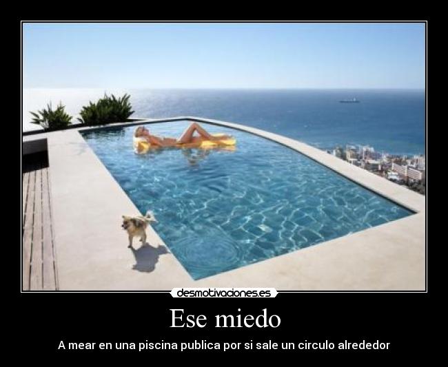 carteles miedo meaee desmotivaciones