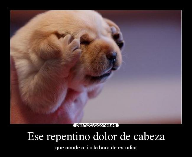 Ese repentino dolor de cabeza -