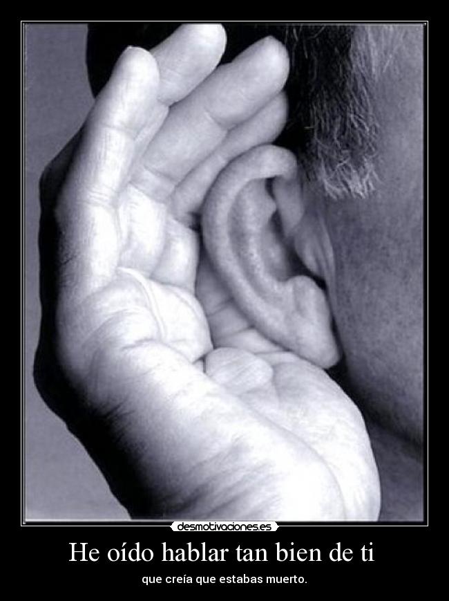 He oído hablar tan bien de ti  - 