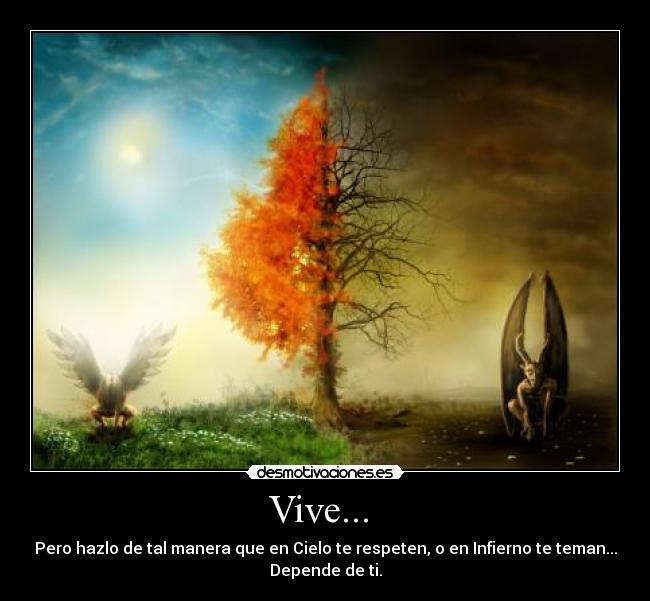 Vive... -