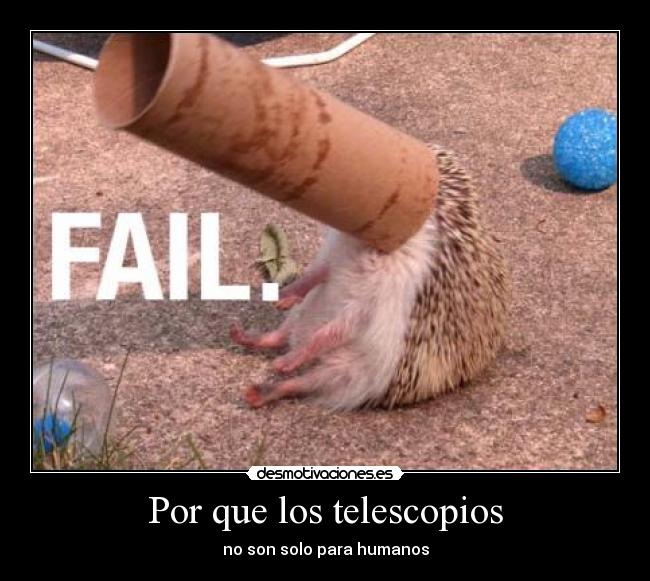 carteles puercoespin desmotivaciones