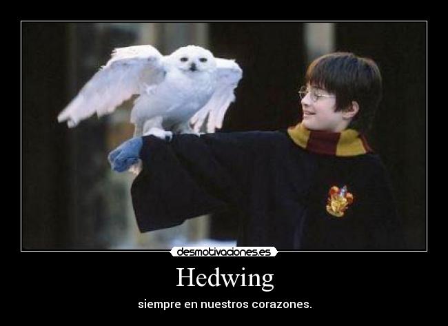 Hedwing -