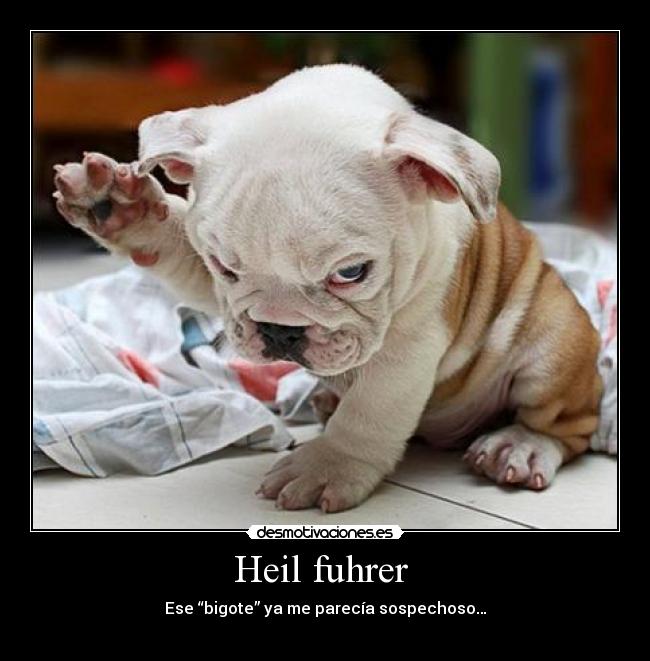Heil fuhrer - Ese “bigote” ya me parecía sospechoso…