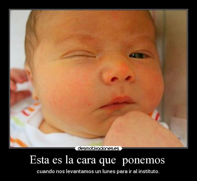 Esta es la cara que ponemos - cuando nos levantamos un lunes para ir al instituto.