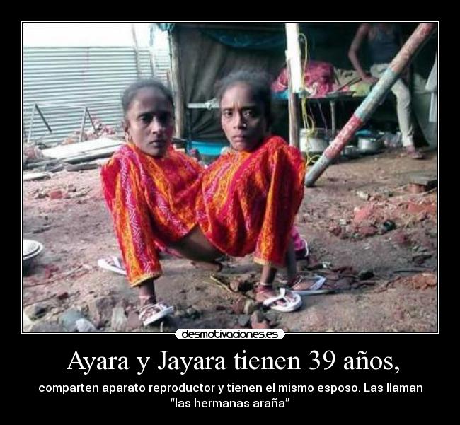 Ayara y Jayara tienen 39 años, -