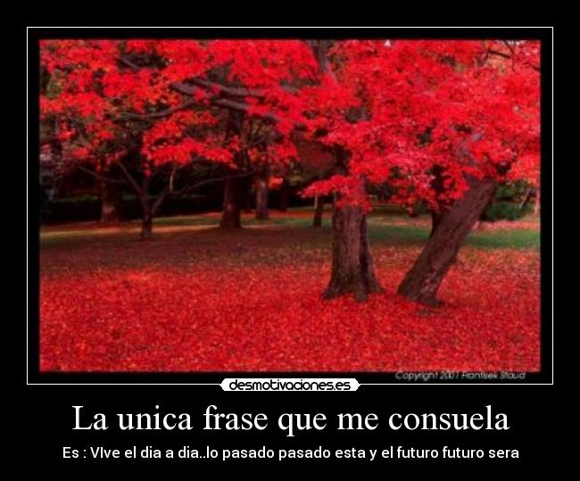 La unica frase que me consuela - Es : VIve el dia a dia..lo pasado pasado esta y el futuro futuro sera