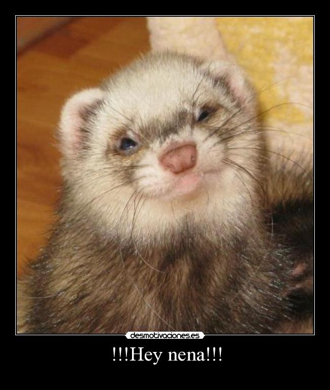 !!!Hey nena!!! -