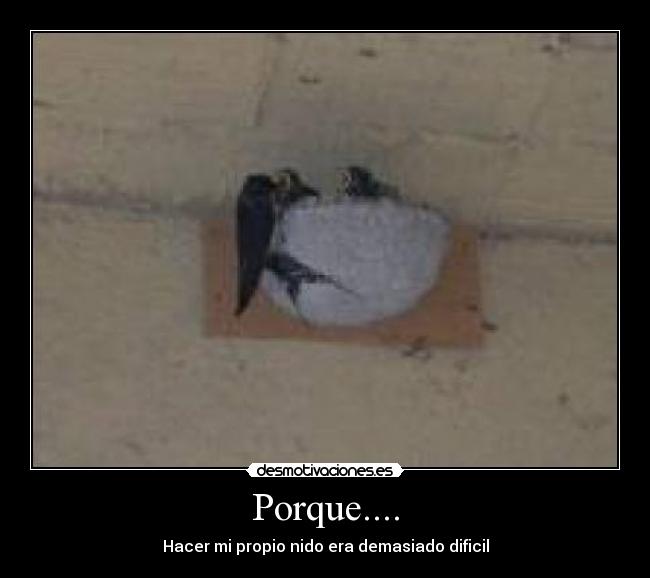 Porque.... - 