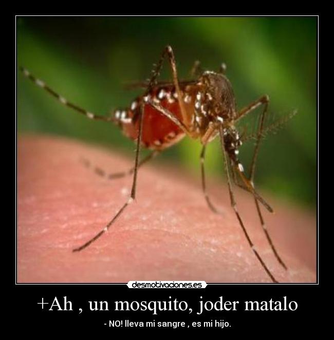 +Ah , un mosquito, joder matalo - - NO! lleva mi sangre , es mi hijo.
