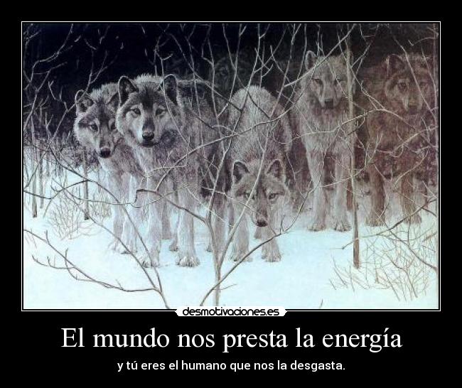 El mundo nos presta la energía -