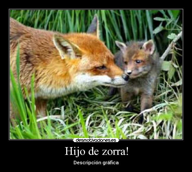 Hijo de zorra! - 