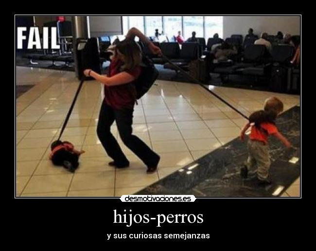 hijos-perros - 