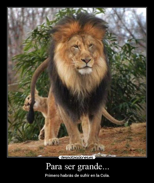 Para ser grande... -