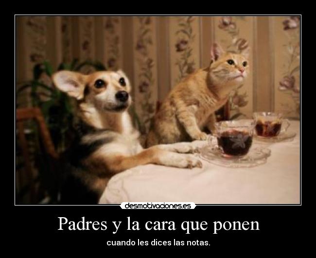 Padres y la cara que ponen - 