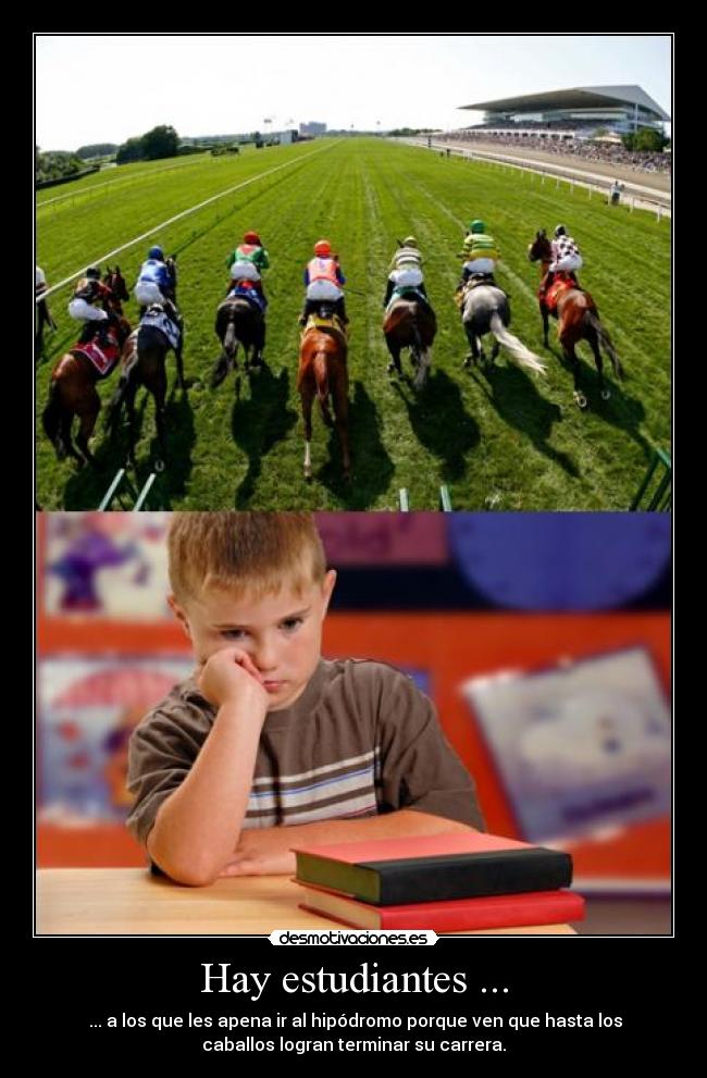 Hay estudiantes ... - ... a los que les apena ir al hipódromo porque ven que hasta los
caballos logran terminar su carrera.