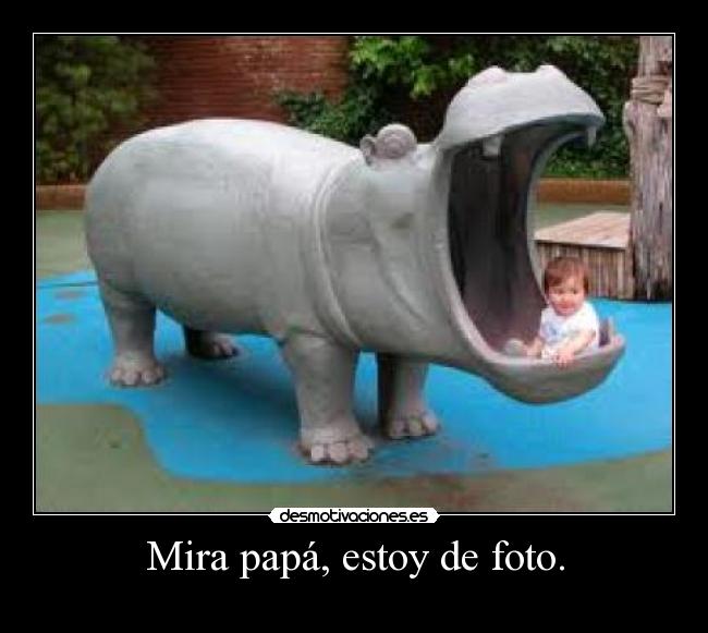 Mira papá, estoy de foto. -