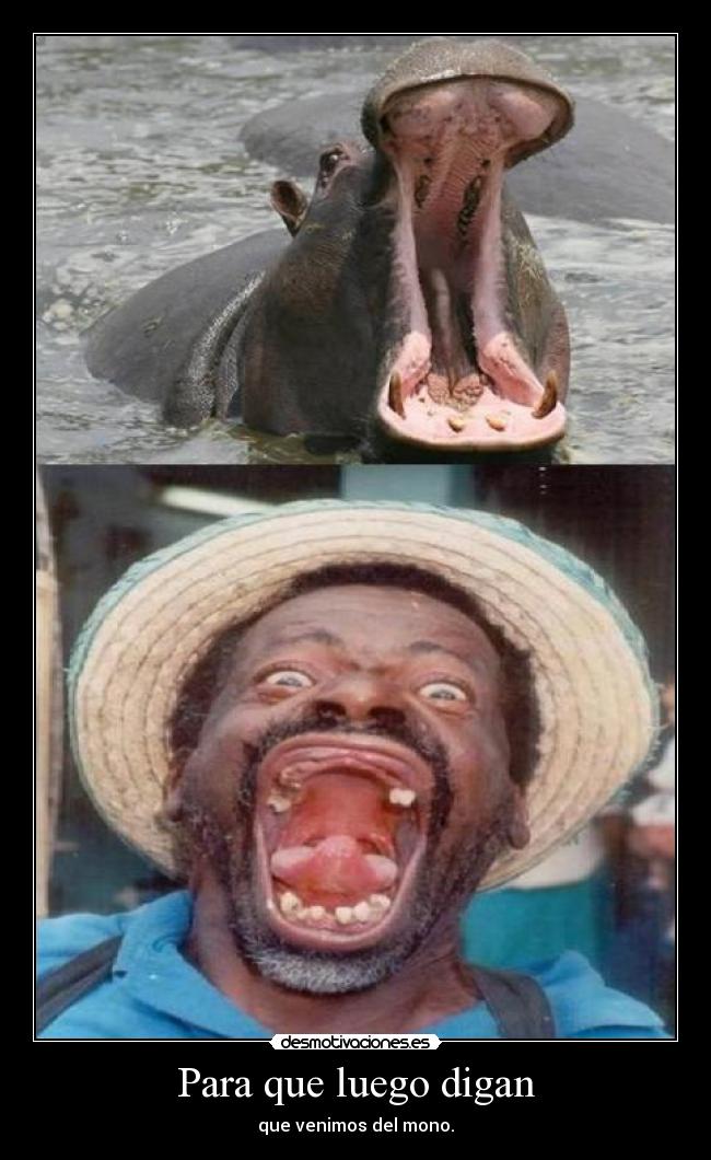 Para que luego digan - que venimos del mono.