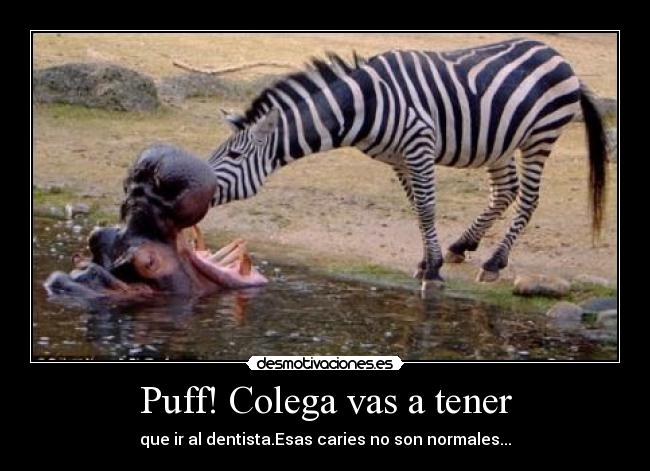Puff! Colega vas a tener - 