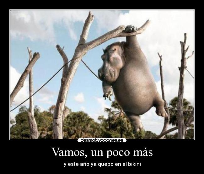Vamos, un poco más - y este año ya quepo en el bikini