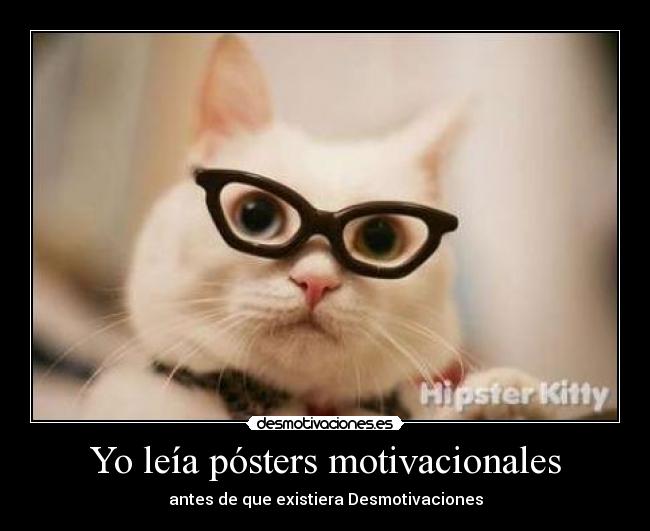 carteles desmotivaciones gato hipster gafas desmotivaciones