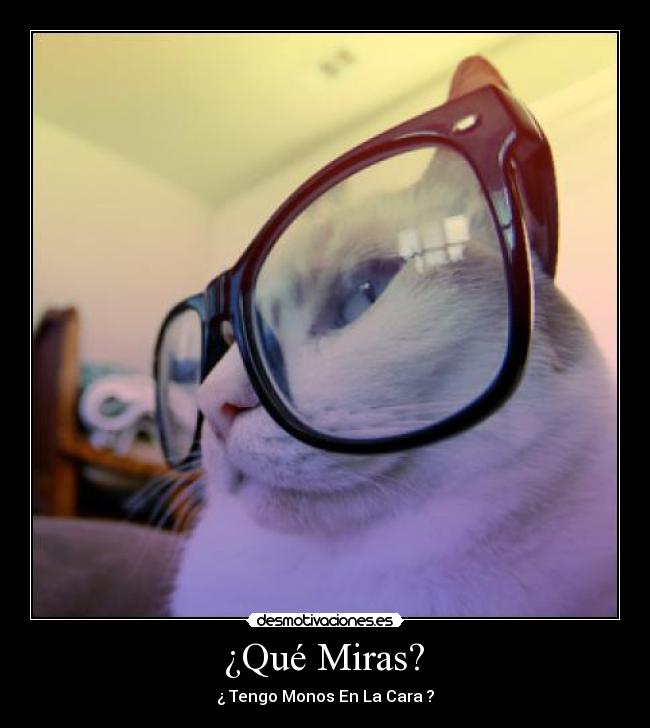  ¿Qué Miras?  - 