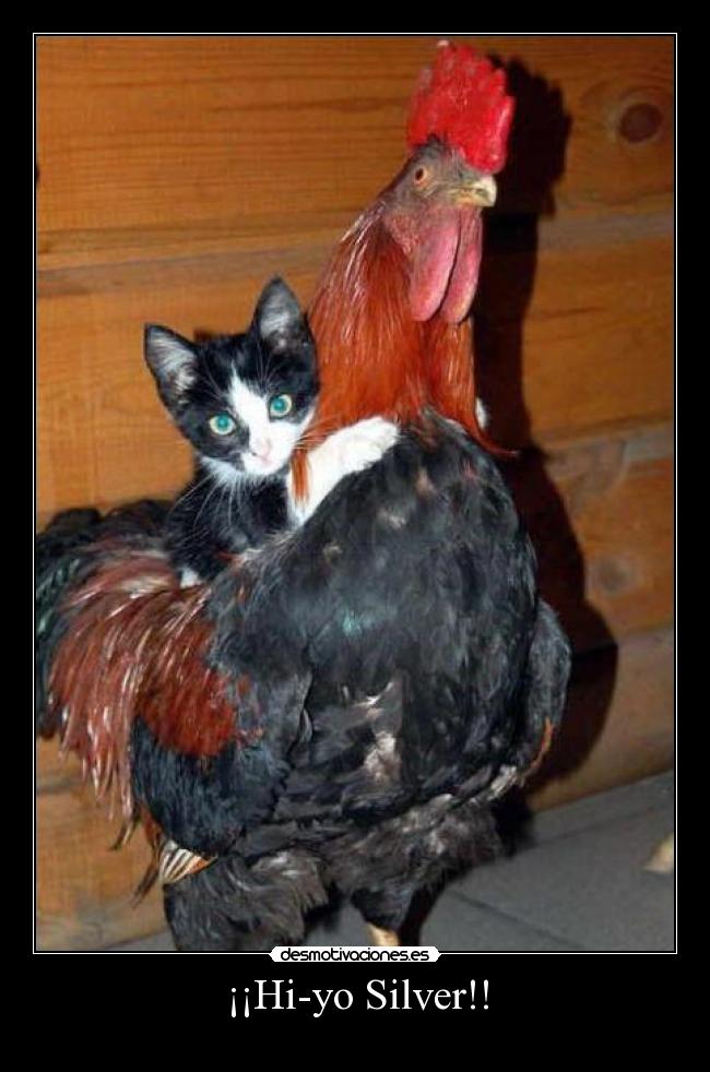 ¡¡Hi-yo Silver!! - 