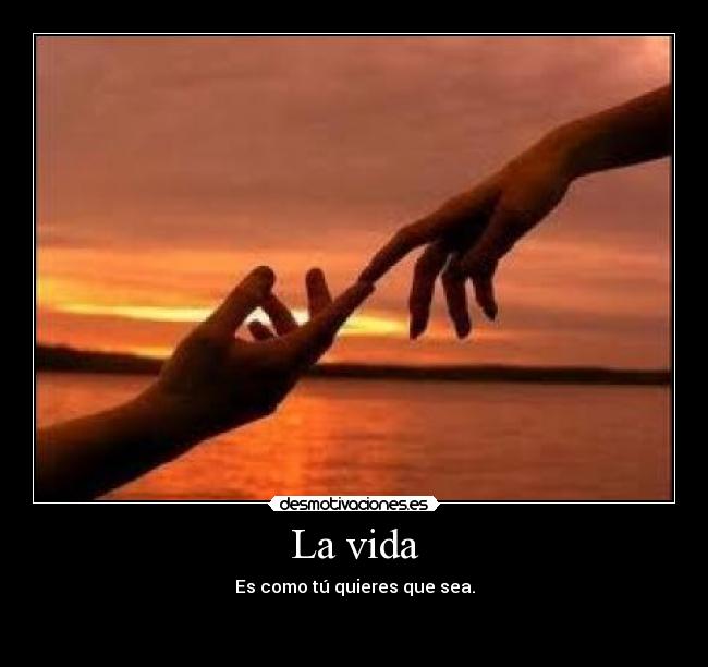 La vida - 