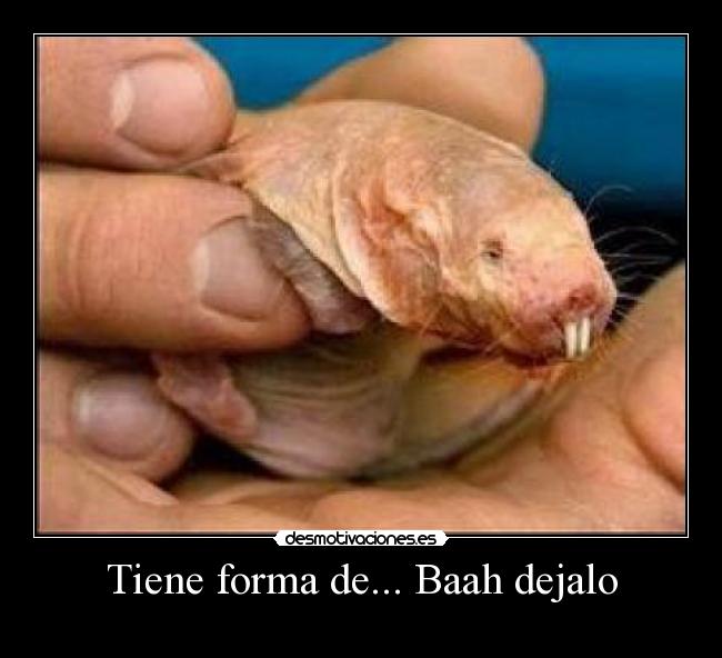 Tiene forma de... Baah dejalo - 