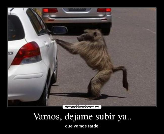 Vamos, dejame subir ya.. - que vamos tarde!