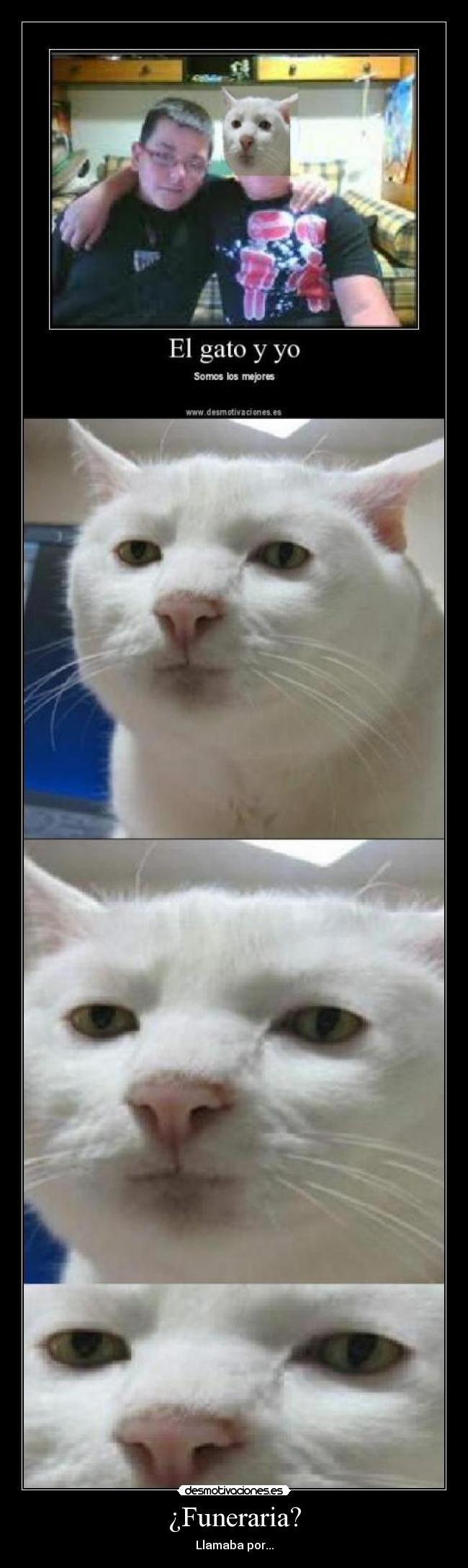 ¿Funeraria? - 
