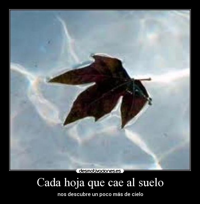 Cada hoja que cae al suelo - nos descubre un poco más de cielo