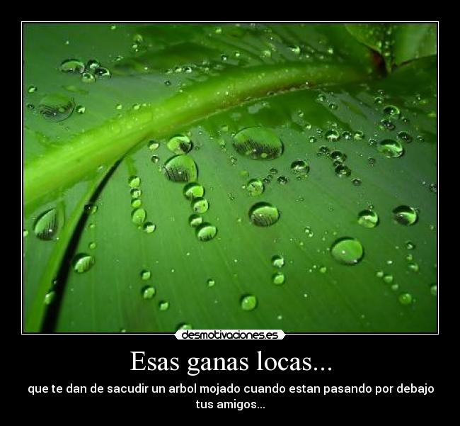 carteles arbol desmotivaciones