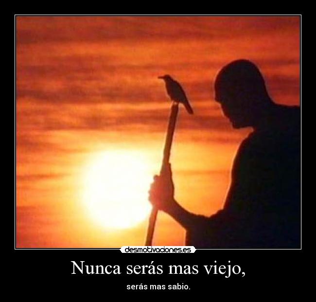 Nunca serás mas viejo, -