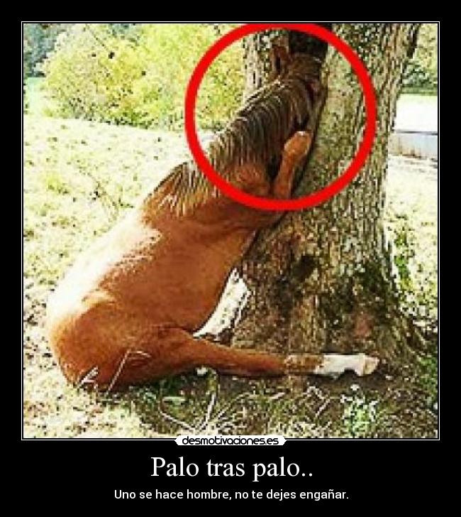 Palo tras palo.. - Uno se hace hombre, no te dejes engañar.
