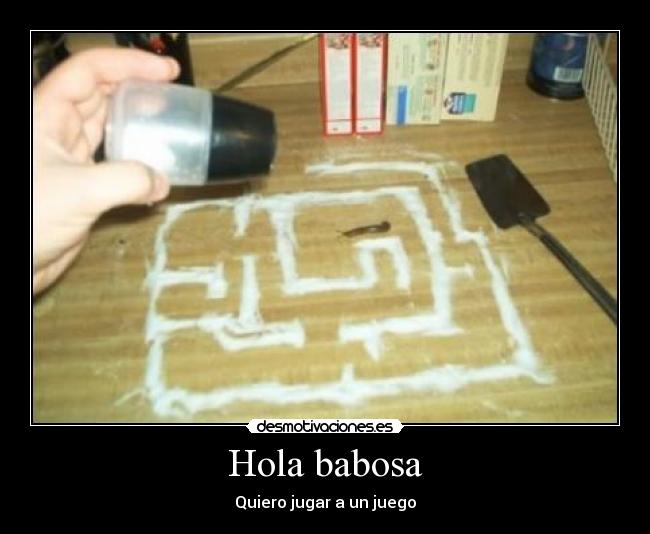 Hola babosa -
