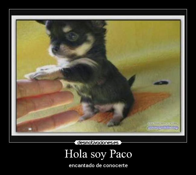 Hola soy Paco - encantado de conocerte