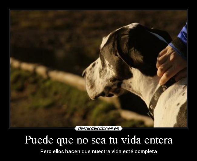 Puede que no sea tu vida entera - 