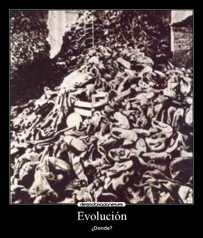 Evolución - ¿Donde?
