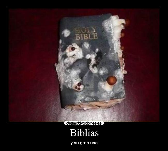 Biblias - y su gran uso